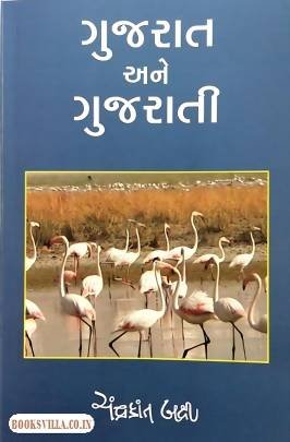 GUJARAT ANE GUJARATI