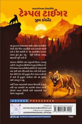 TEMPLE TIGER 0